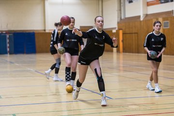 Bild 155 - wBJ TSV Ellerau - HSG Stoertal Hummeln : Ergebnis: 26:19